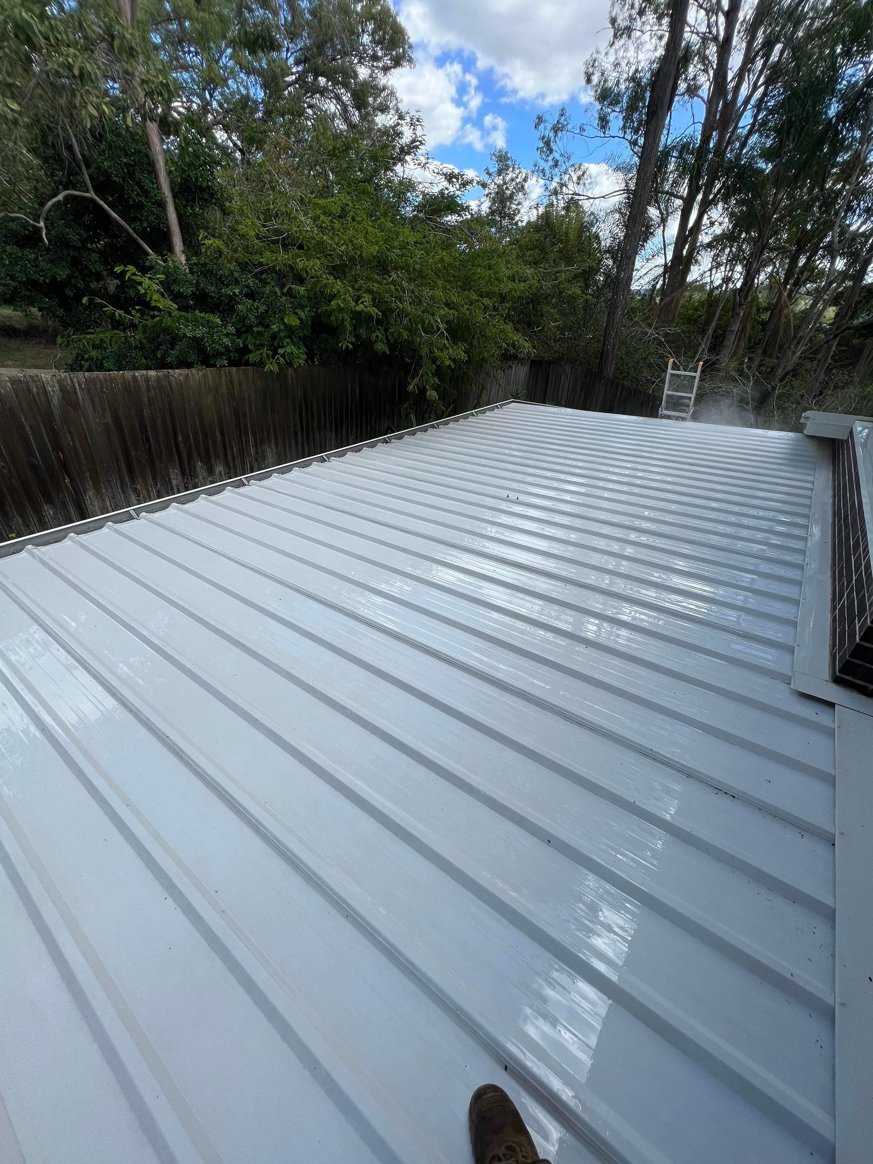 Roof, Eave and Gutter Cleaning in Shailer Park, Brisbane