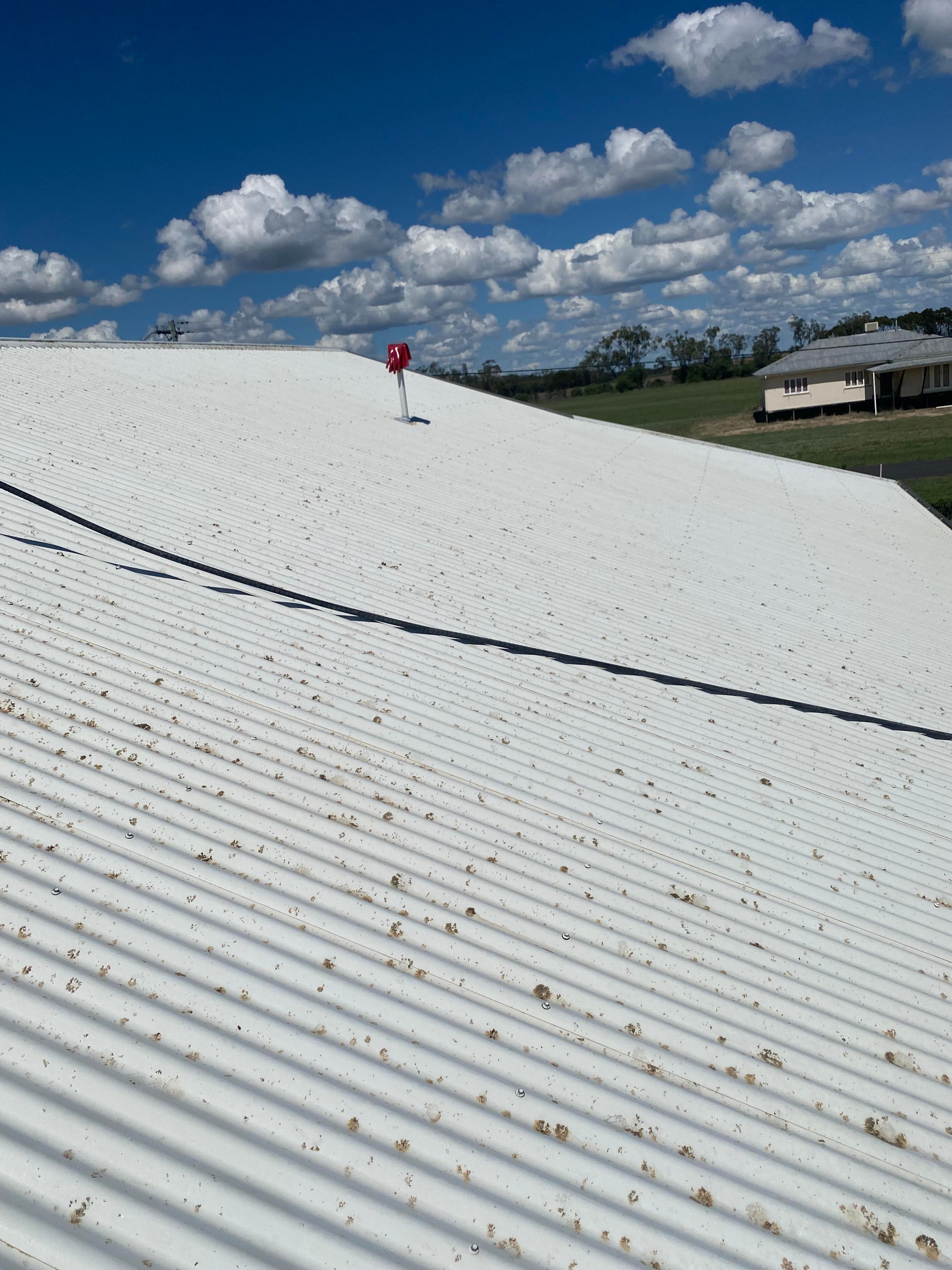 Roof Washing in Dalby, Queensland